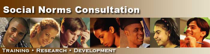 Social Norms Consultation